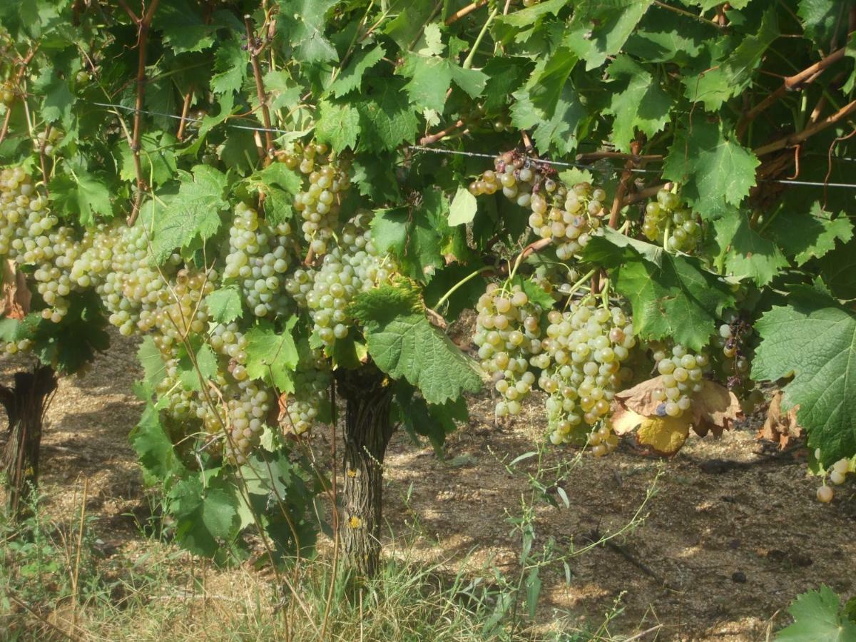 I Graniti Farm stay Monti